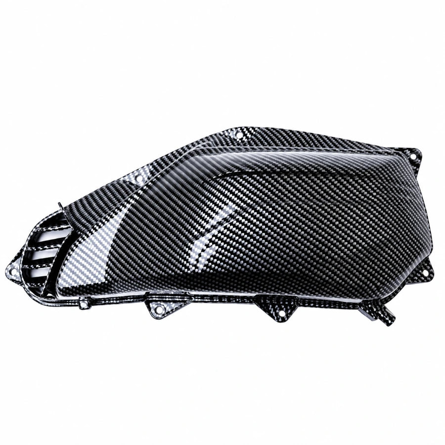 Nemo Cover Air Filter Carbon Vario 125 / 150 (2018-2026)