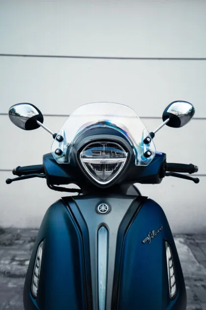 WINDSHIELD TYPE SHARK