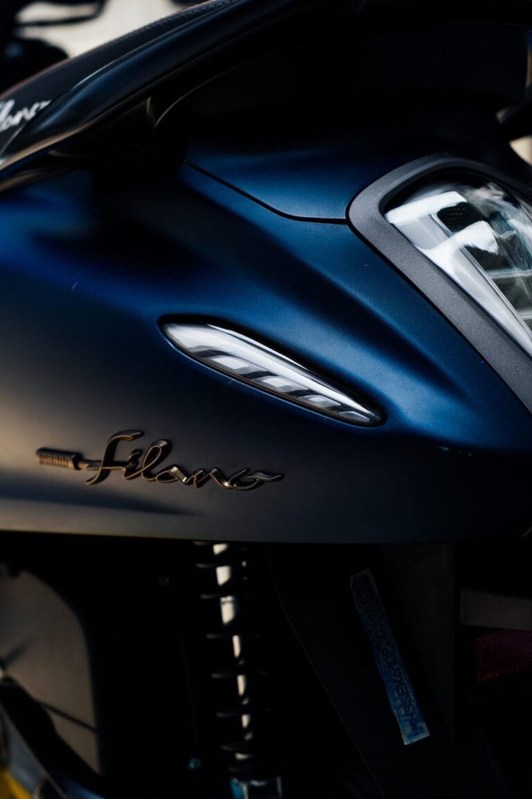 REAR TURN SIGNAL LIGHT TYPE NARA FILANO