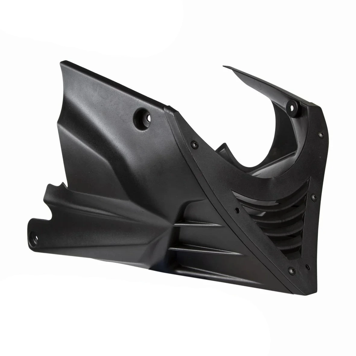 Nemo Engine Cover PP Vixion
